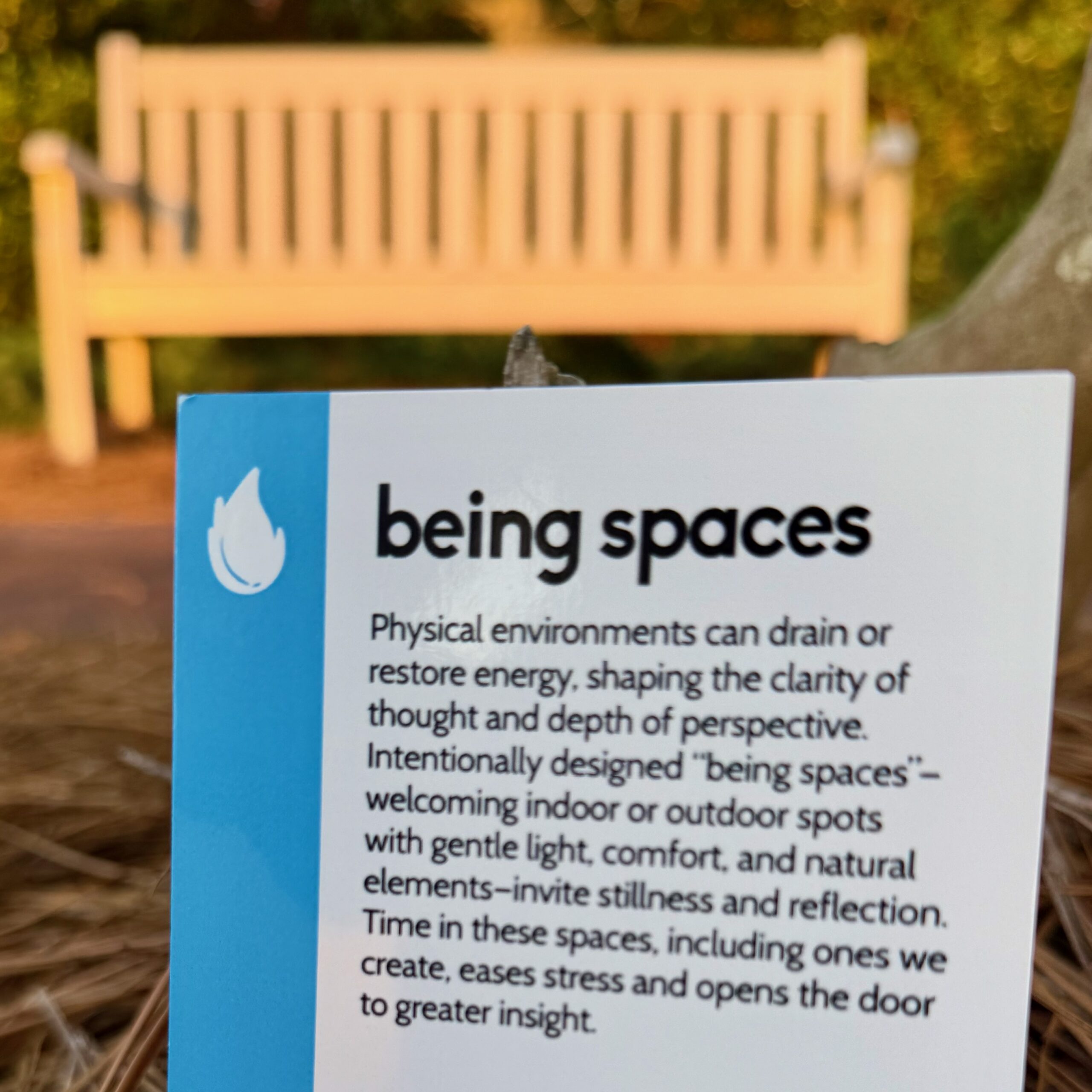 Being Spaces Insight card exploring the effect of physical spaces on well-being