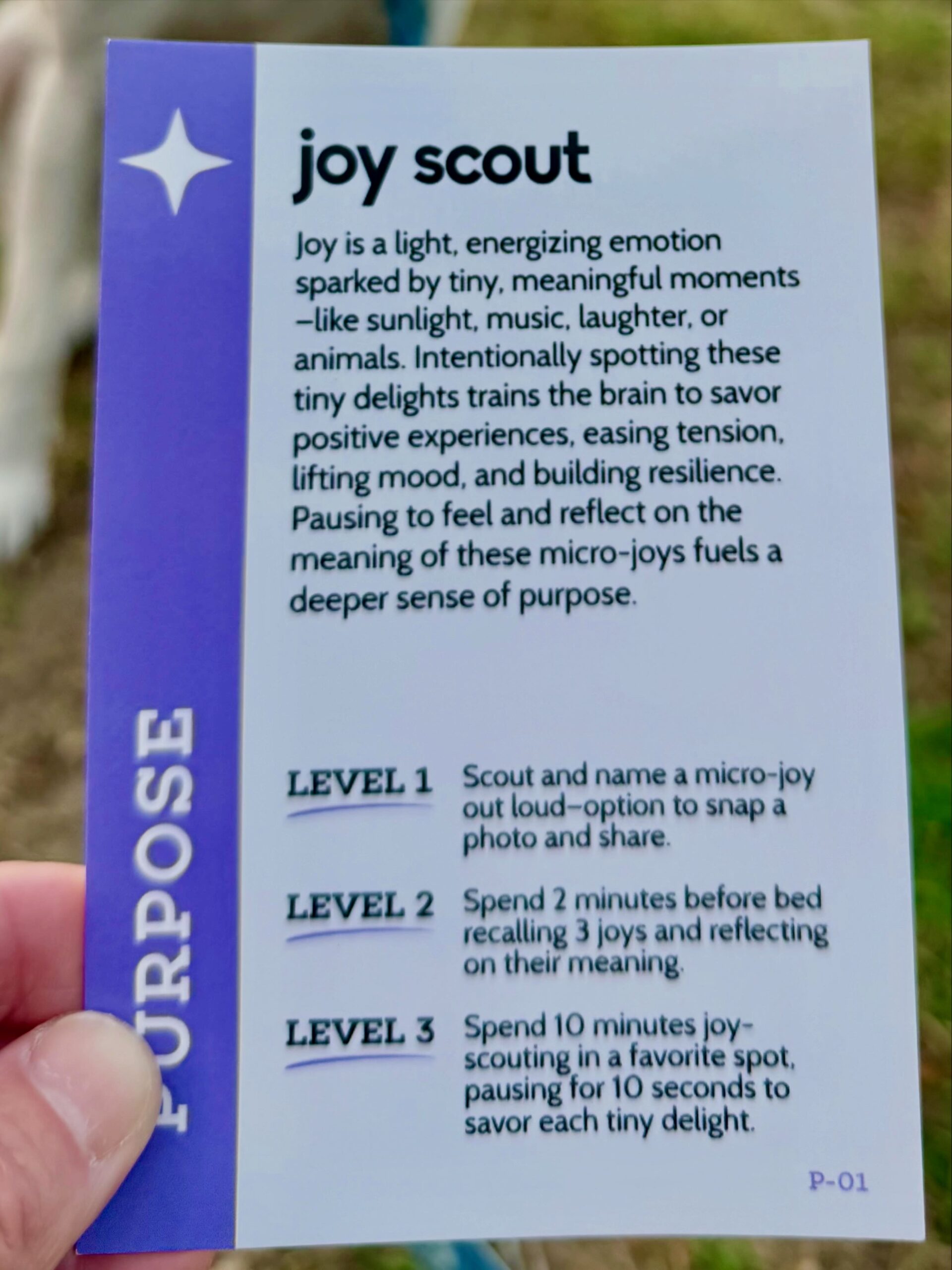 Purpose Joy Scout card showing the science and three levels of this Well-Being Experiment Cards® practice