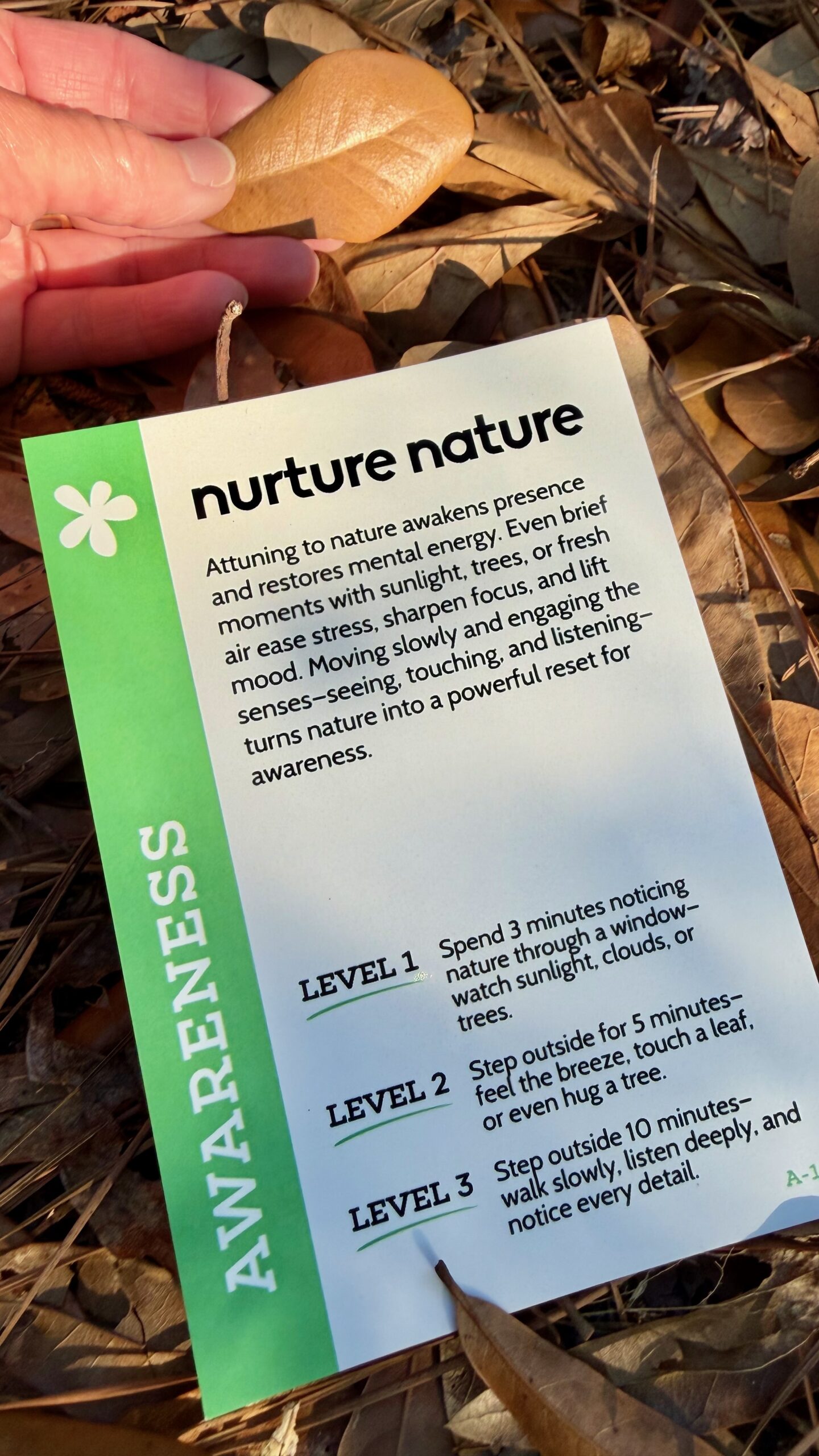 Nurture Nature Awareness card from the Well-Being Experiment Cards®